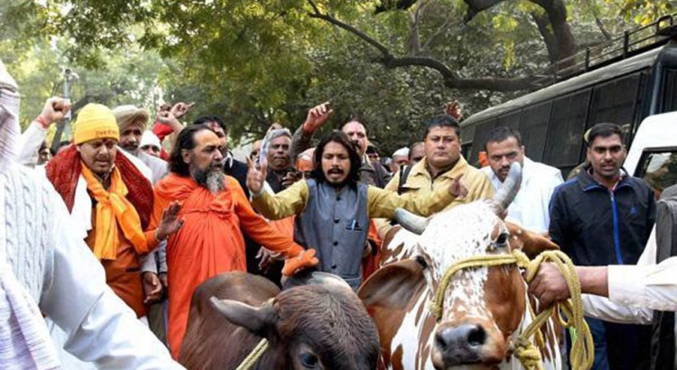 Hindistan’da, inek kestiği iddia edilen bir Müslüman öldürüldü