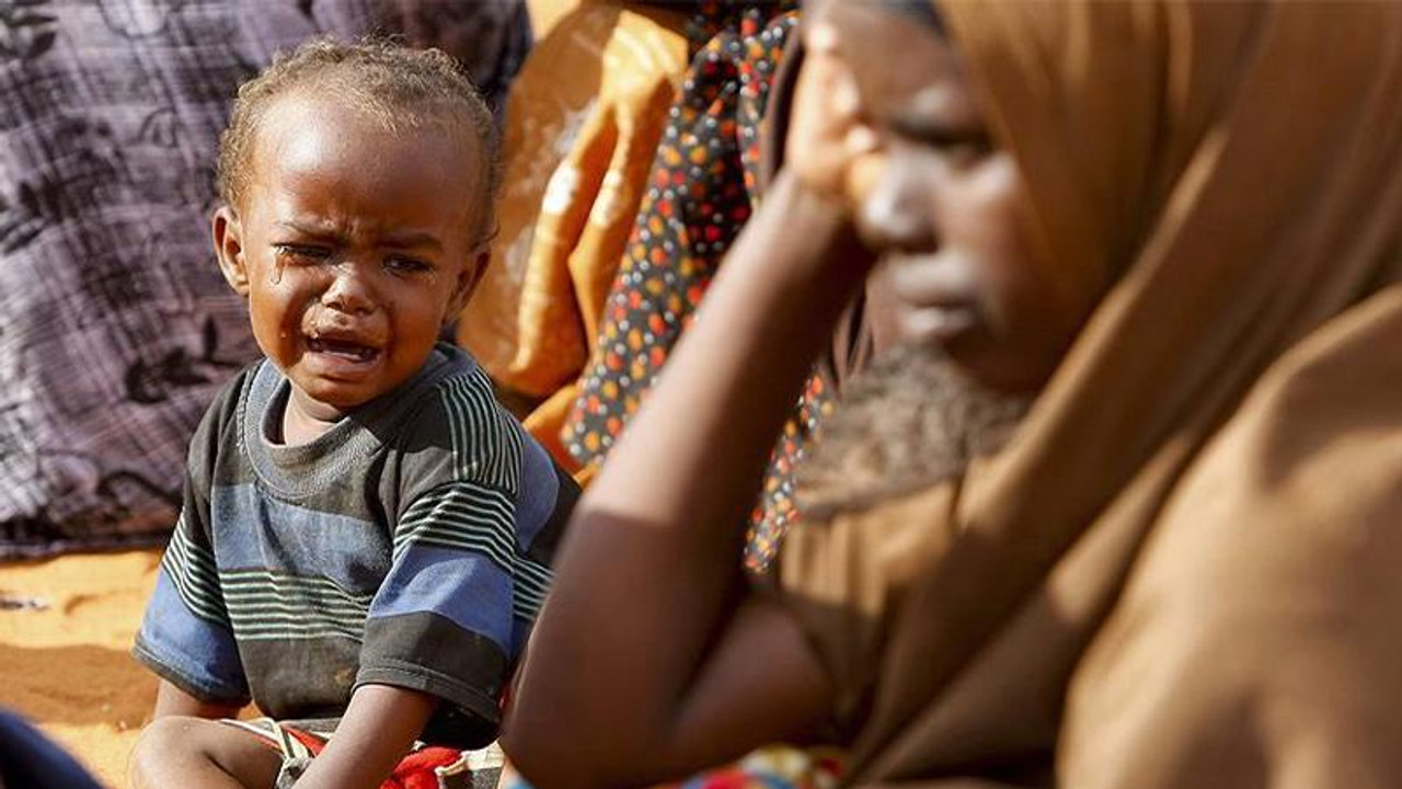 World hunger rising as UN agencies warn of ‘looming catastrophe’